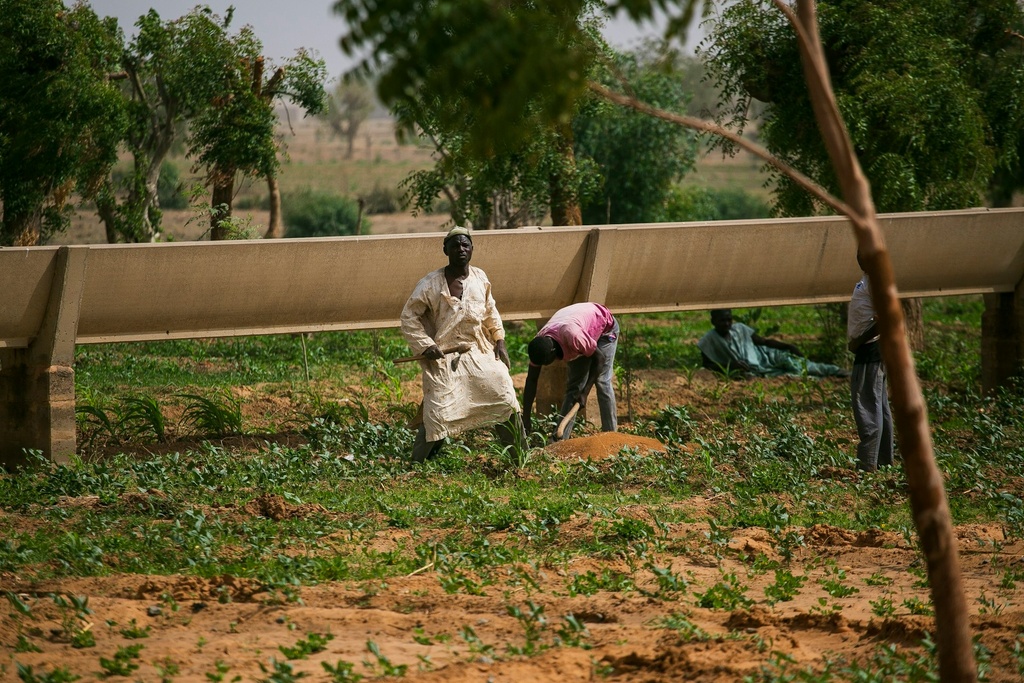 Module 2: Compétences entrepreneuriales 