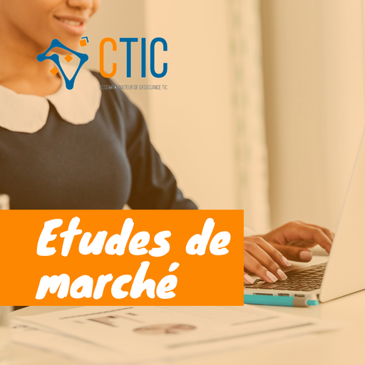 Etudes de marché